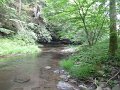 Cedar Run Senic3